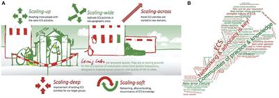 Successful scaling of Edible City Solutions to promote food citizenship and sustainability in food system transitions